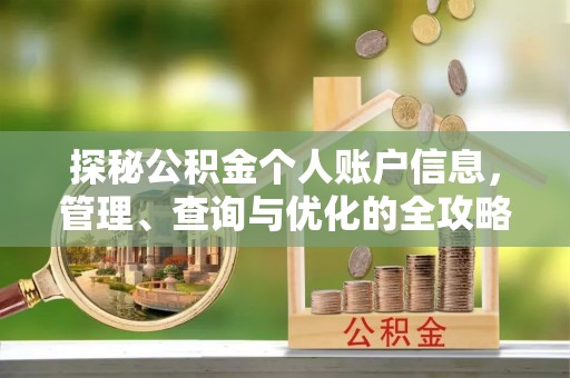 海棠探秘公积金个人账户信息，管理、查询与优化的全攻略