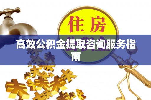 海棠高效公积金提取咨询服务指南