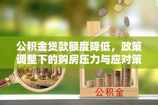 海棠公积金贷款额度降低，政策调整下的购房压力与应对策略