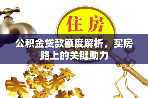 海棠公积金贷款额度解析，买房路上的关键助力