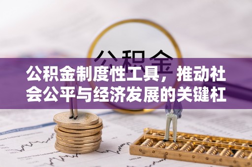 海棠公积金制度性工具，推动社会公平与经济发展的关键杠杆