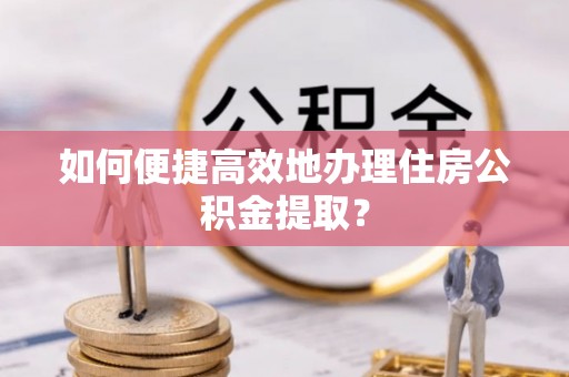海棠如何便捷高效地办理住房公积金提取？