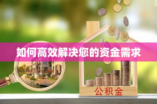 海棠如何高效解决您的资金需求