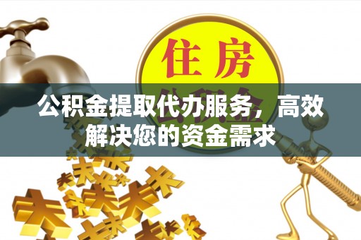 海棠公积金提取代办服务，高效解决您的资金需求