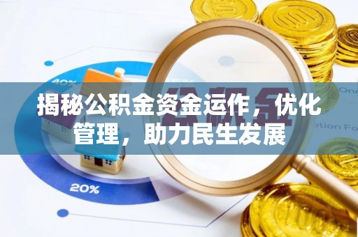 海棠揭秘公积金资金运作，优化管理，助力民生发展