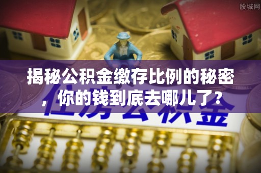海棠揭秘公积金缴存比例的秘密，你的钱到底去哪儿了？