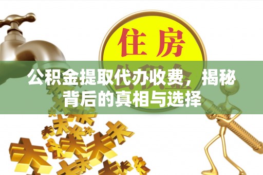 海棠公积金提取代办收费，揭秘背后的真相与选择