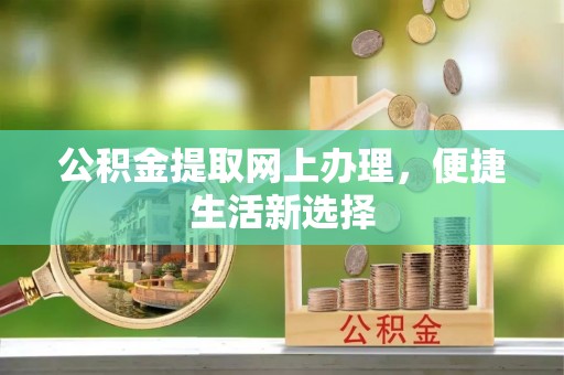 海棠公积金提取网上办理，便捷生活新选择