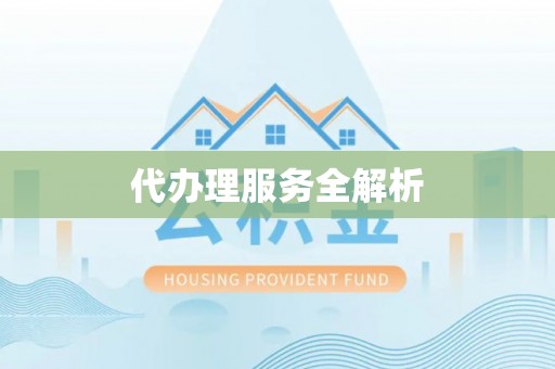 海棠代办理服务全解析