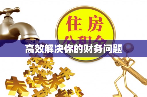 海棠高效解决你的财务问题