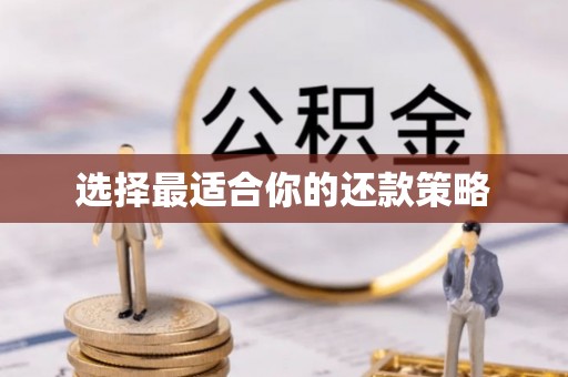 海棠选择最适合你的还款策略