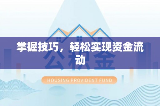 海棠掌握技巧，轻松实现资金流动
