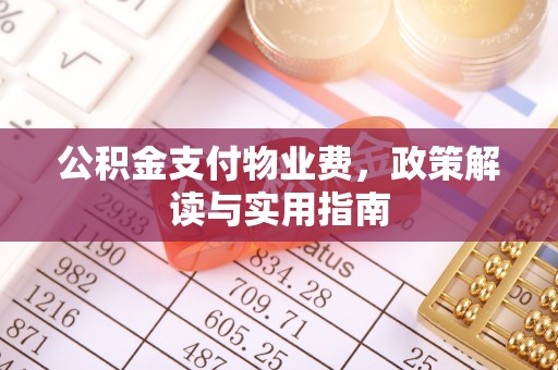 海棠公积金支付物业费，政策解读与实用指南