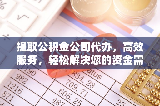 海棠提取公积金公司代办，高效服务，轻松解决您的资金需求