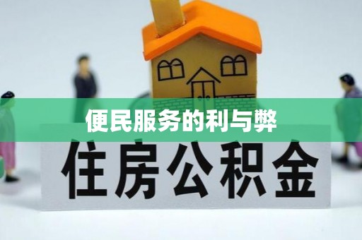 海棠便民服务的利与弊
